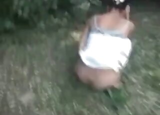 Putting the camera on the grass to record it all